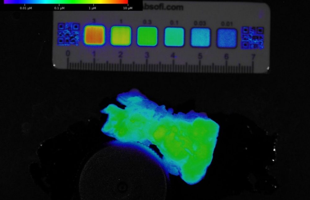 Concentration target (reference phantom)