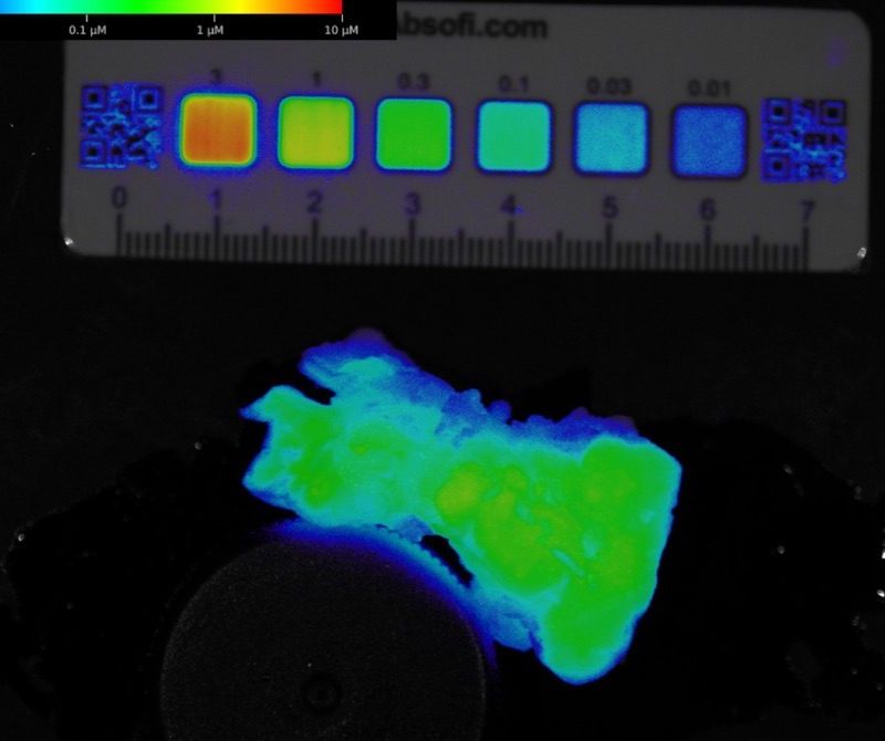 Concentration target (reference phantom)