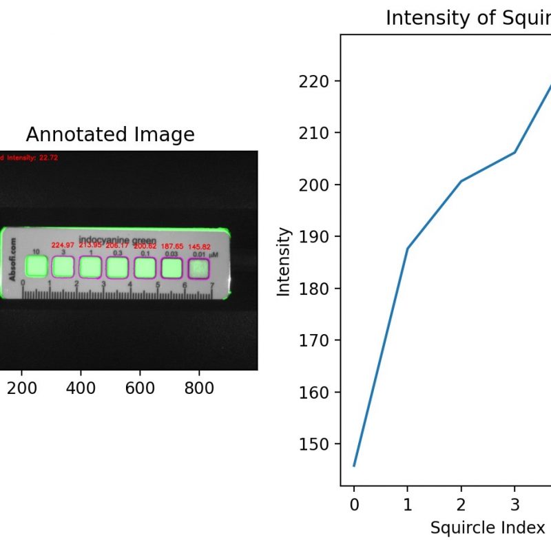 The concentration target is scaled logarithmically, which gives a linear response when plotted accordngly